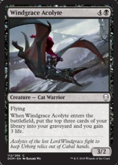 Windgrace Acolyte - Foil