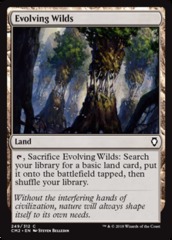 Evolving Wilds