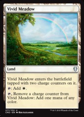 Vivid Meadow