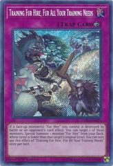 Training Fur Hire, Fur All Your Training Needs - DASA-EN026 - Secret Rare - 1st Edition