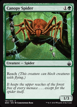 Canopy Spider - Foil