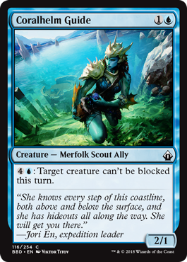 Coralhelm Guide - Foil