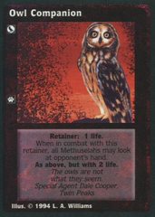 Owl Companion