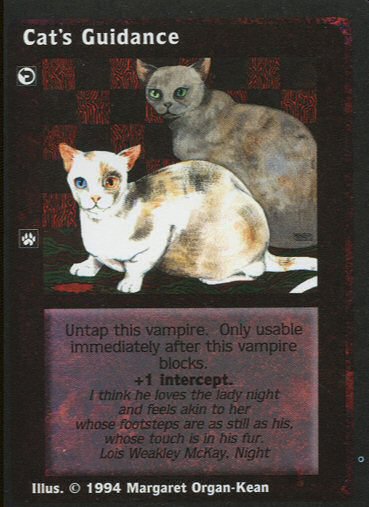 Cats Guidance