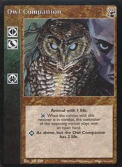 Owl Companion