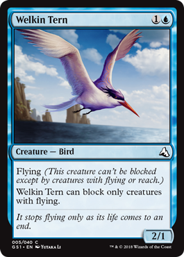 Welkin Tern