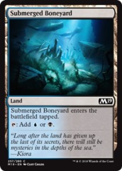 Submerged Boneyard - Foil