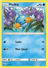 Mudkip - 33/168 - Common