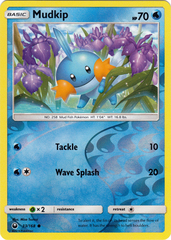 Mudkip - 33/168 - Common - Reverse Holo