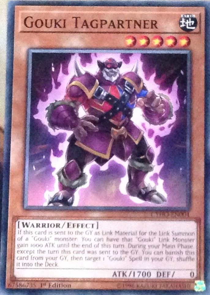 Gouki Tagpartner - CYHO-EN004 - Common