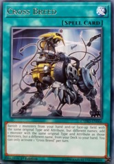 Cross Breed - CYHO-EN066 - Rare - 1st Edition