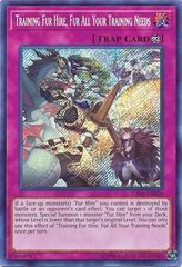 Training Fur Hire, Fur All Your Training Needs - DASA-EN026 - Secret Rare - Unlimited