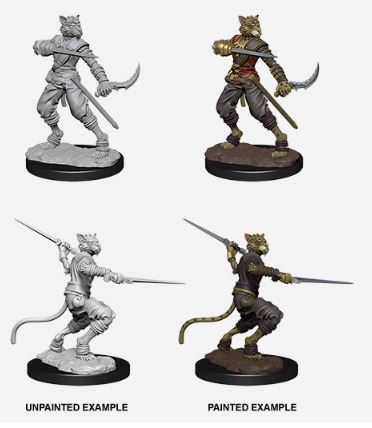 D&D Nolzurs Marvelous Miniatures: Male Tabaxi Rogue