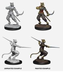 D&D Nolzur's Marvelous Miniatures: Male Tabaxi Rogue