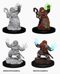 Pathfinder Battles Unpainted Minis - Female Dwarf Summoner