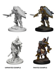 Pathfinder Battles Unpainted Minis - Human Male Paladin