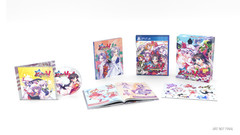 Touhou Kobuto V: Burst Battle Limited Edition