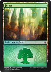 Forest - Selesnya  (A09) - Foil Ravnica Weekend Promo