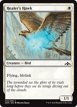 Healers Hawk - Foil