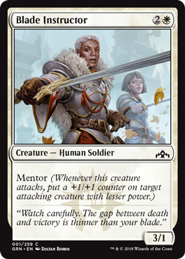 Blade Instructor - Foil