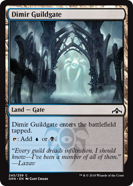 Dimir Guildgate (245)