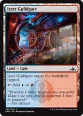 Izzet Guildgate (252)