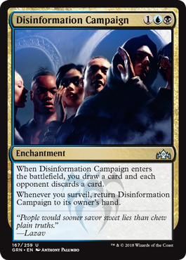 Disinformation Campaign - Foil