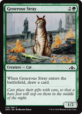 Generous Stray