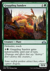 Grappling Sundew - Foil