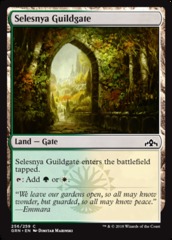 Selesnya Guildgate (256) - Foil