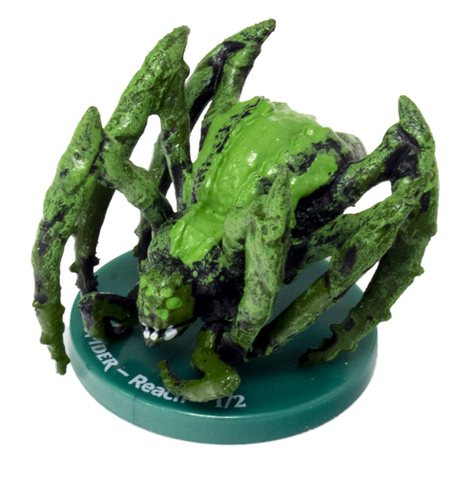 Spider - 09/28 - Common
