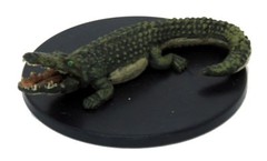 Crocodile