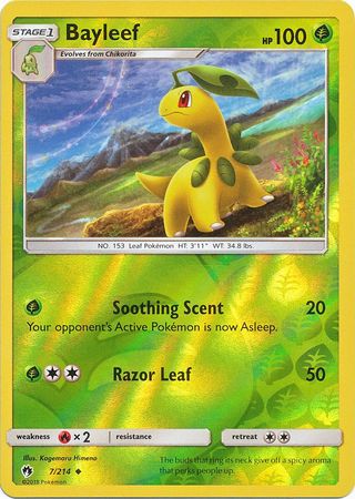 Bayleef - 7/214 - Uncommon - Reverse Holo