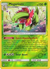 Meganium - 8/214 - Reverse Holo