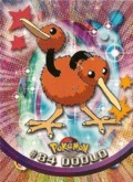 Doduo - 84