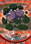 Weezing - 110