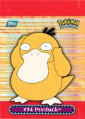 Psyduck - 7