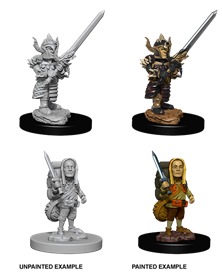 D&D Nolzurs Marvelous Miniatures: Male Halfling Fighter
