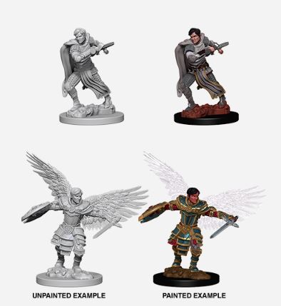 D&D Nolzurs Marvelous Miniatures: Male Aasimar Fighter