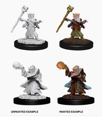 D&D Nolzur's Marvelous Miniatures: Male Gnome Wizard