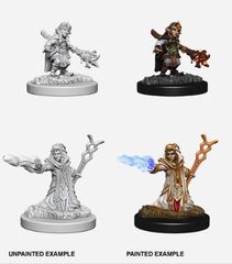 D&D Nolzur's Marvelous Miniatures: Female Gnome Wizard