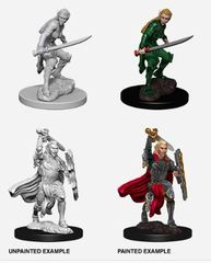 D&D Nolzur's Marvelous Miniatures: Female Elf Fighter