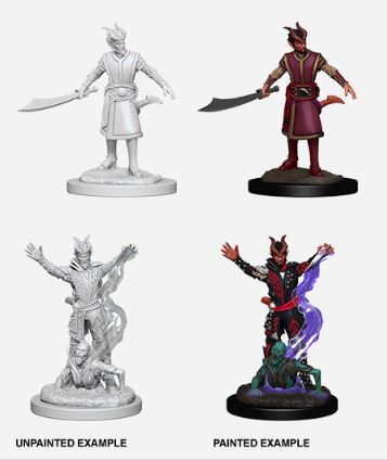 D&D Nolzurs Marvelous Miniatures: Male Tiefling Warlock.