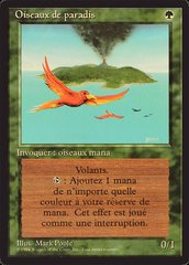 Birds of Paradise - French