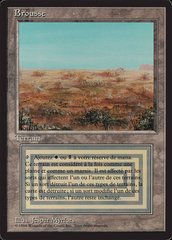 Scrubland - French
