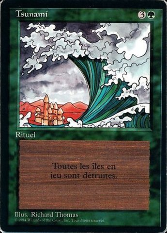Tsunami - French