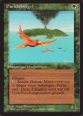 Birds of Paradise - German