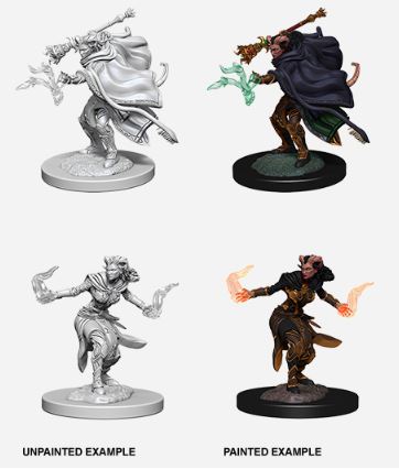 D&D Nolzurs Marvelous Miniatures: Female Tiefling Warlock