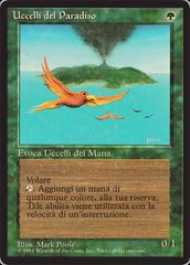 Birds of Paradise - Italian