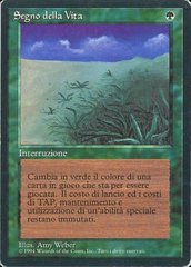 Lifelace - Italian